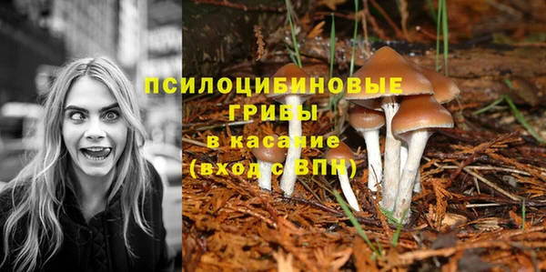 мдма Михайлов