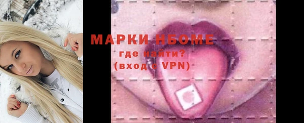 индика Мегион