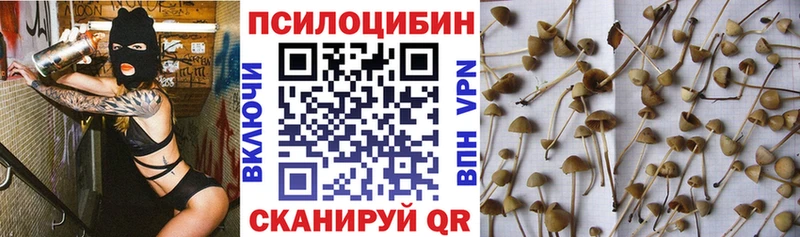 Псилоцибиновые грибы прущие грибы  Заполярный 