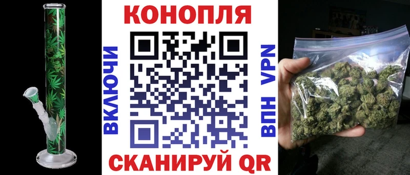 Конопля индика  Заполярный 